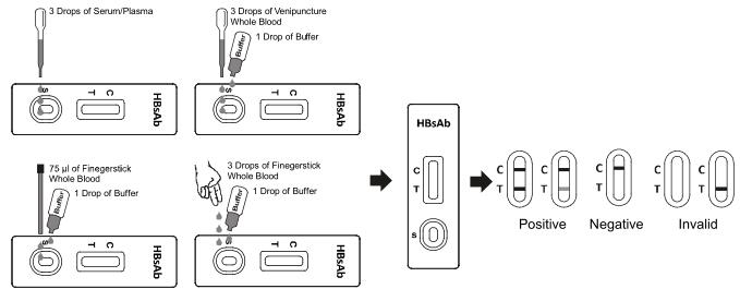 ISO13485 / CE HBsAb Rapid Test Kits to detect Hepatitis B Core Antibody (HBsAb) in Whole Blood/Serum/Plasma