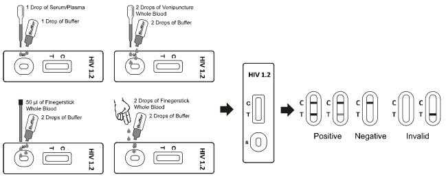Blood / Serum / Plasma HIV 1.2 Rapid Test Cassette , One Step Rapid Test