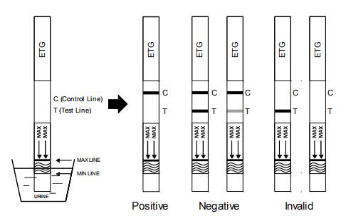 Cassette/Dipstick/Panel Ethyl Glucuronide (ETG) urine 500 ng/mL*1000 ng/mL Rapid Drug Abuse Test Kit For The Diagnosis