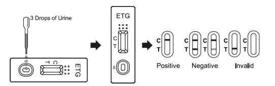 Cassette/Dipstick/Panel Ethyl Glucuronide (ETG) urine 500 ng/mL*1000 ng/mL Rapid Drug Abuse Test Kit For The Diagnosis