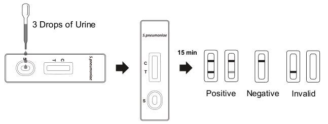 S. pneumoniae Antigen Rapid Test Cassette (Urine)