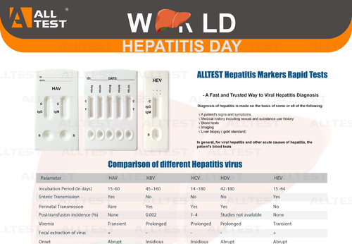Latest company news about World Hepatitis Day
