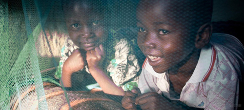Latest company news about WHO Recommends the Use of Pyrethroid-treated Mosquito Nets for Malaria Prevention
