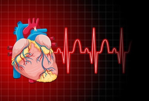 Latest company news about Recovering from a Heart Attack: Can Muscle Death be Reversed?