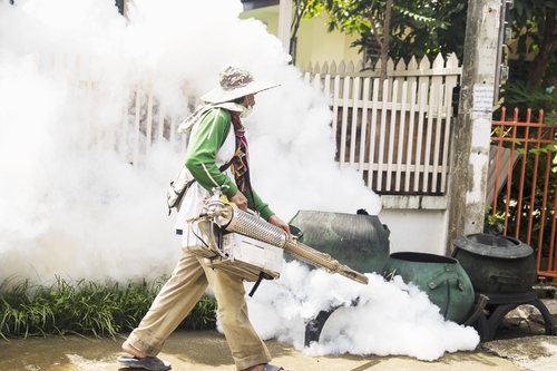 Latest company news about Attention! Dengue Cases Jump 223%