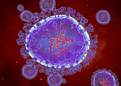 Latest company news about HMPV Cases Increase by 36% in 2023: Human Metapneumovirus on the Rise