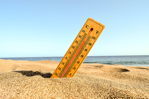 Latest company news about The Heat is On: Rising Temperatures Bring Health Risks