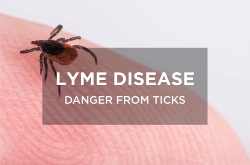 Latest company news about Stay Alert: Ticks Can Still Pose a Threat in Winter