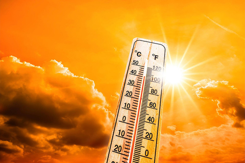 Latest company news about Navigating the Dangers of Heatwaves