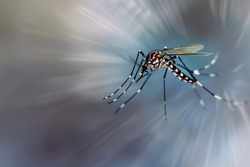 Latest company news about Fall Has Arrived, but Mosquito Season Isn't Over