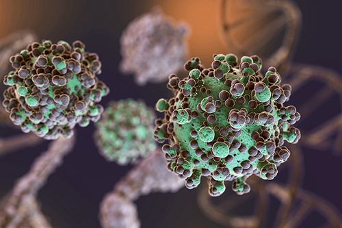 Latest company news about Oncogenic Viruses: The Hidden Threat to Public Health