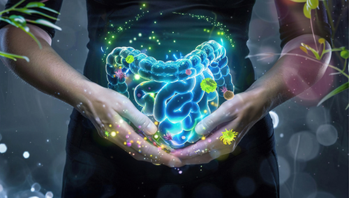 Latest company news about The Cornerstone of Overall Well-being - Intestinal tract Health