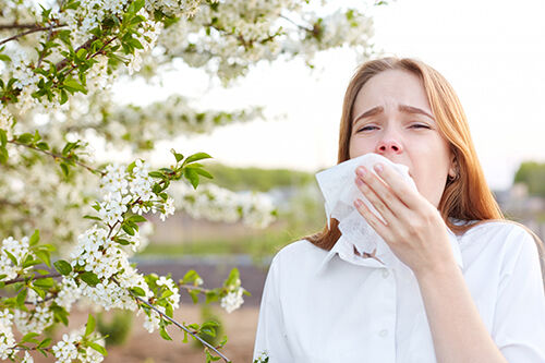 Latest company blogs about Spring Allergies Are Intensifying: How to Protect Your Health