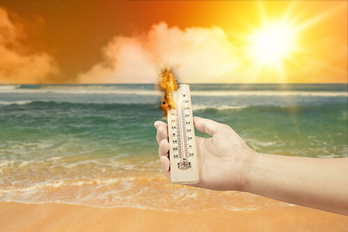Latest company news about Beat the Heat: Staying Safe When Temperatures Soar