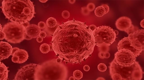 Latest company news about More than 100 confirmed or suspected cases of monkeypox have been reported in 12 countries, including the US