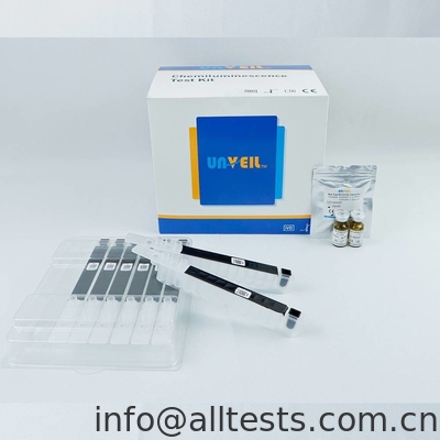 Good price Interleukin-6 (IL-6) Chemiluminescence Immunoassay Analyzer Automatic online