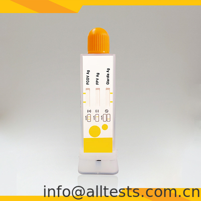 Good price FCoV FPV Giardia Lamblia Antigen Combo Rapid Test Kits Feces Veterinary Diagnostic Cup online