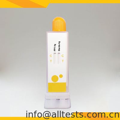 FPV Giardia Lamblia Antigen Combo Test Kit Sensitivity Stability Veterinary Diagnosis Cup