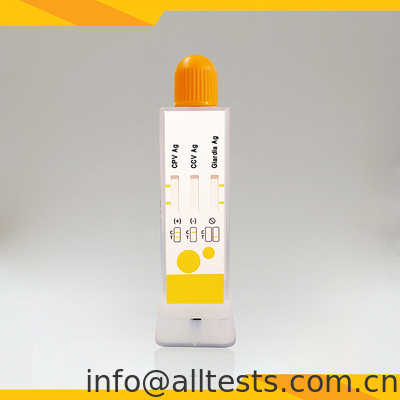 Good price Rapid Diagnostic Test Kit For CPV CCV Giardia Lamblia In Feces Vet Use online