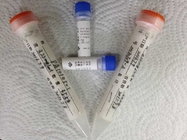 Propoxyphene-BSA Synthetic Antigens Conjugate Drug of Abuse for IVD Diagnostics Production