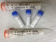 Anti - Methadone Hybridoma Metabolization Monoclonal Anti body