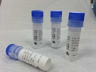 Pharmaceutical anti - Buprenorphine Hybridoma Monoclonal Antibody Animal Mouse Mab 9.3mg/mL