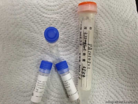 Methaqualonum-BSA Synthetic Antigens Conjugate Drug of Abuse for IVD Development