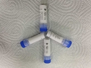 Ractopamine-BSA Synthetic Antigens for IVD Diagnostics Development