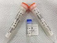 2.9mg/mL HIV 120 Recombinant Antigens With Eukaryotic Expression Systems