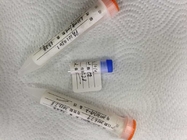Tuberculosis Purified Recombinant Protein For Membrane Assay