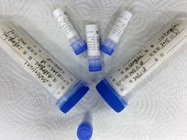 HIV P24 Infectious Disease Purified Recombinant Protein for Laboratory