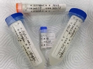 Medical Syphilis-TP 66 Purified Recombinant Protein / Gene Antigen
