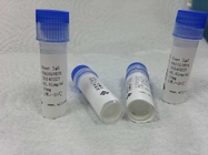 Anti - Methadone Metabolization Mouse Monoclonal Antibodies