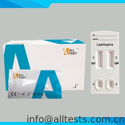 Good price Leptospira IgG/IgM Combo Rapid Test with 15 Minutes Reading Time CE Certified for Whole Blood/Serum/Plasma Specimen online
