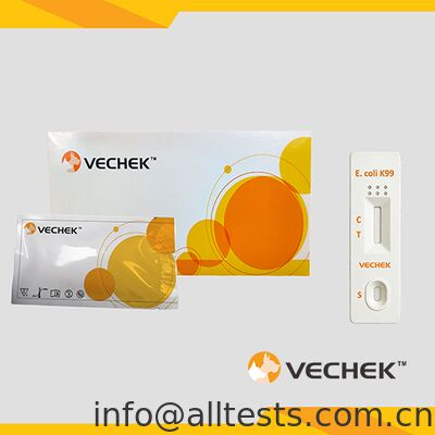 Good price Bovine E.coli Antigen Rapid Test Cassette for Feces 10 Minutes Reading Time High Accuracy Simple Operation online