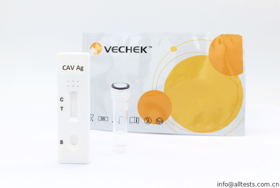 Good price Canine Adenovirus Type - II Ag (CAV Ag) Accuracy Diagnostic Test Kit Cassette With Fast Reading online