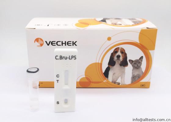 Good price C Bru - Lps Antibody Cassette Rapid Test Kits Accuracy Rate Reached 98% online