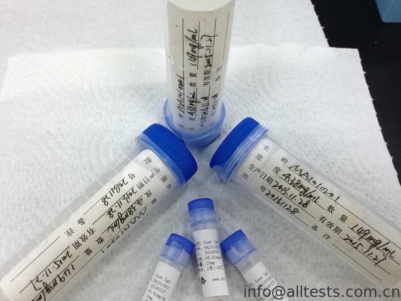 High Sensitivity HIV 36 Purified Recombinant Protein For Invitro Research