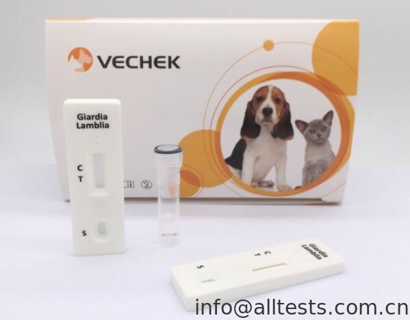 Convenient Canine Giardia Lamblia Rapid Diagnostic Kit Cassette Simple And Quickly