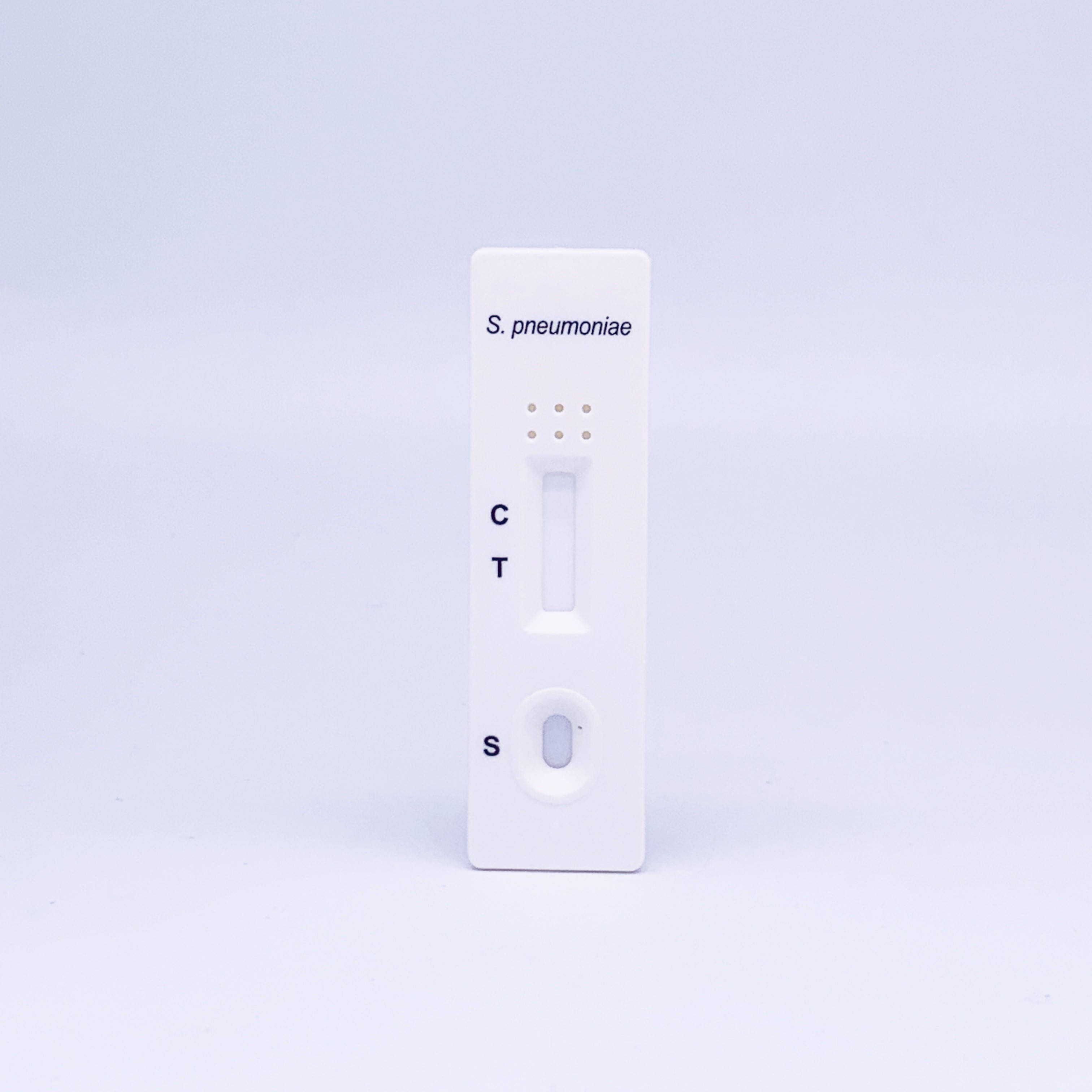Which Germ Is Streptococcus?  A Simple Image Test - kaoegqk