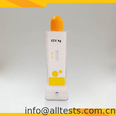 Good price 10 Minutes CCV Antigen Rapid Test Kit for Canine Coronavirus Detection in Feces/Vomit Using Immunochromatography online