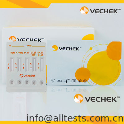 Good price Rotavirus+Cryptosporidia+Coronavirus+E. Coli K99 +E. Coli O157 Antigen Combo Rapid Test Cassette (Feces) online