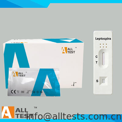 Good price Leptospira IgM Rapid Test with 15 Minutes Reading Time, CE Certified, and High Accuracy for Whole Blood/Serum/Plasma online