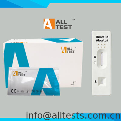 Good price Brucella Abortus Antibody Rapid Test with 10 Minutes Reading Time, CE Certified for High Accuracy in Whole Blood/Serum/Plasma online
