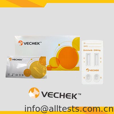 Good price Canis Ehrlichia Antibody + CHW Antigen Combo Rapid Test Cassette Fast Results High Accuracy Simple Operation online