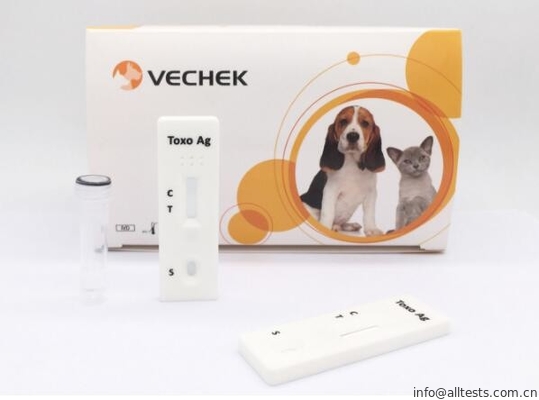 Good price One Step Canine Rapid Assay Test Toxoplasma Gondii Ag Test Long Life online